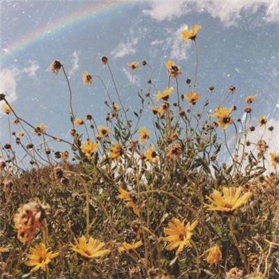 英军陆战队中文版